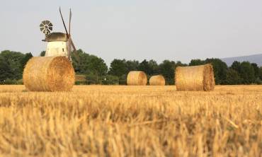 Agrarische onderneming