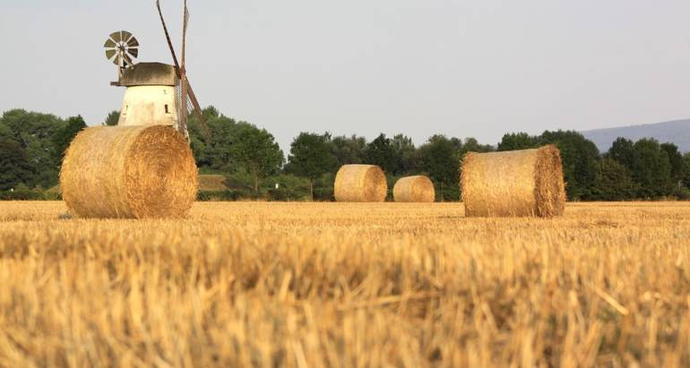 Agrarische onderneming